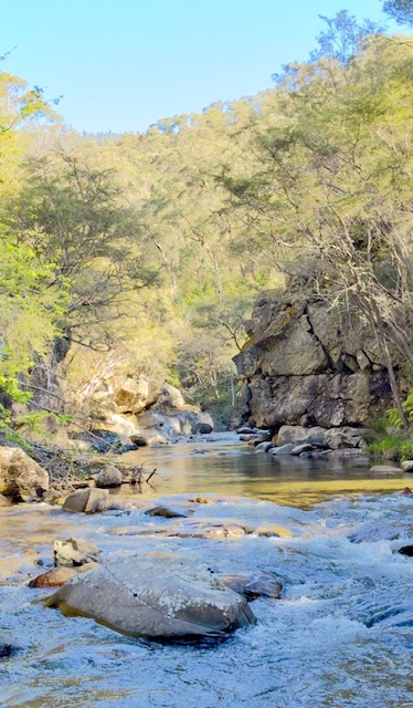 Rocky river gorge with clear water flowing between gum-covered hills
