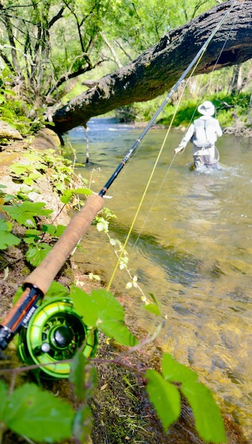 Green fly reel in the foreground with an angler fishing upstream