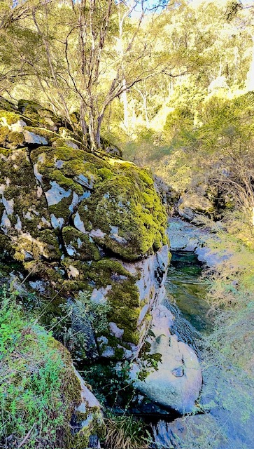 Moss-covered boulder above a clear pool in a shaded gorge