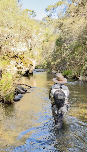 Guided angler wading upstream through a shaded gorge