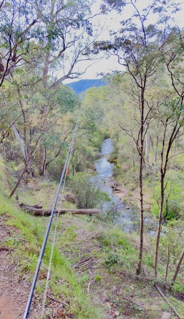 Fly rod leaning above a narrow river winding through bushland
