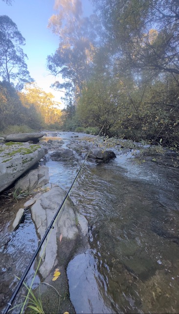 Fly rod resting on rocks above a freestone run at dawn