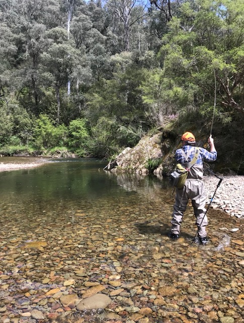 Angler casting into a deep green pool surrounded by gum trees